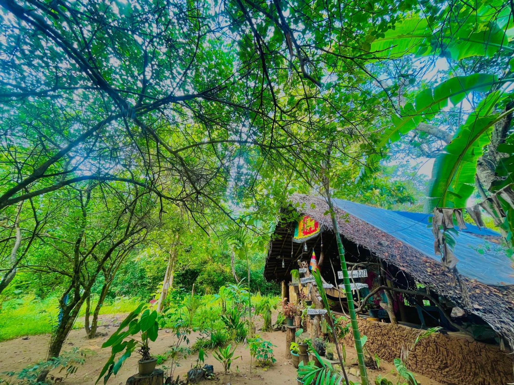 Sigiriya Rastha Hostel Exterior foto